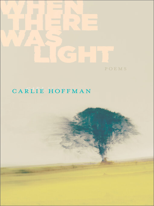 Title details for When There Was Light by Carlie Hoffman - Available
